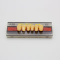 Tablilla de Dientes Vipi Dent Plus Anteriores Inferiores A26 65