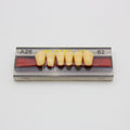Tablilla de Dientes Vipi Dent Plus Anteriores Inferiores A26 62