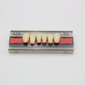 Tablilla de Dientes Vipi Dent Plus Anteriores Inferiores A26 59