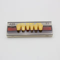 Tablilla de Dientes Vipi Dent Plus Anteriores Inferiores A26 77