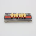 Tablilla de Dientes Vipi Dent Plus Anteriores Inferiores 2P 62