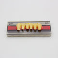 Tablilla de Dientes Vipi Dent Plus Anteriores Inferiores 2P 66