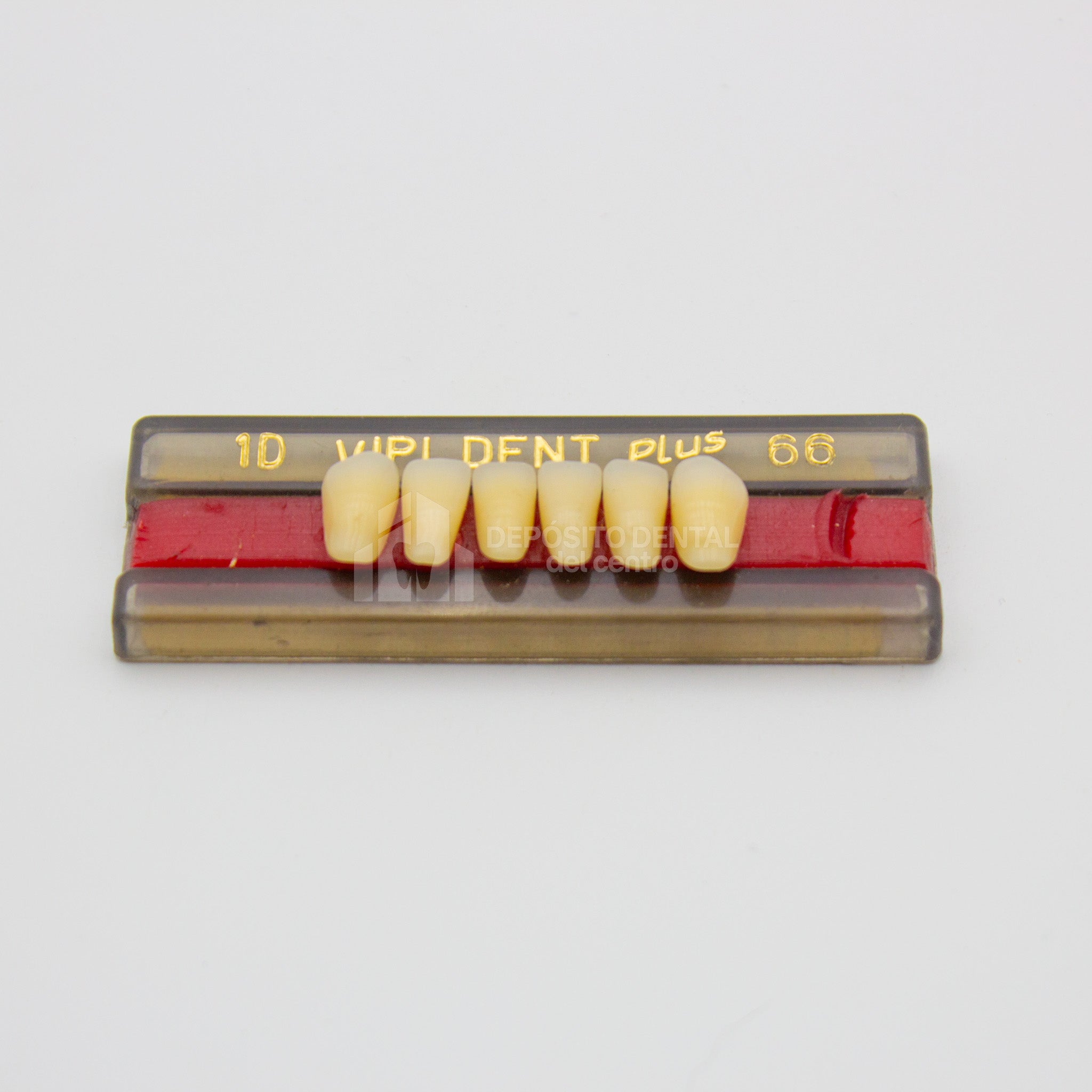 Tablilla de Dientes Vipi Dent Plus Anteriores Inferiores 1D 66