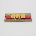 Tablilla de Dientes Vipi Dent Plus Anteriores Inferiores 264 65