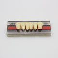 Tablilla de Dientes Vipi Dent Plus Anteriores Inferiores 266 59