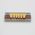 Tablilla de Dientes Vipi Dent Plus Anteriores Inferiores 266 65