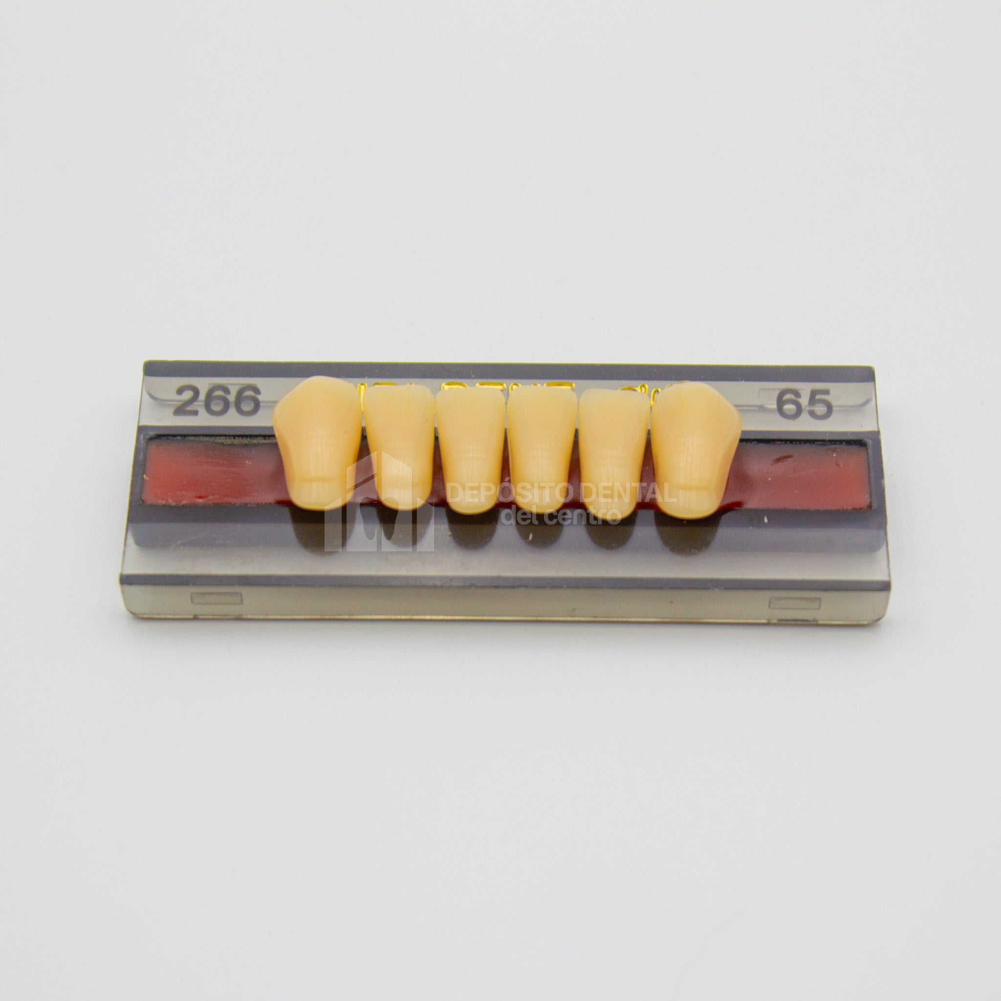 Tablilla de Dientes Vipi Dent Plus Anteriores Inferiores 266 65