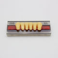 Tablilla de Dientes Vipi Dent Plus Anteriores Inferiores 266 66