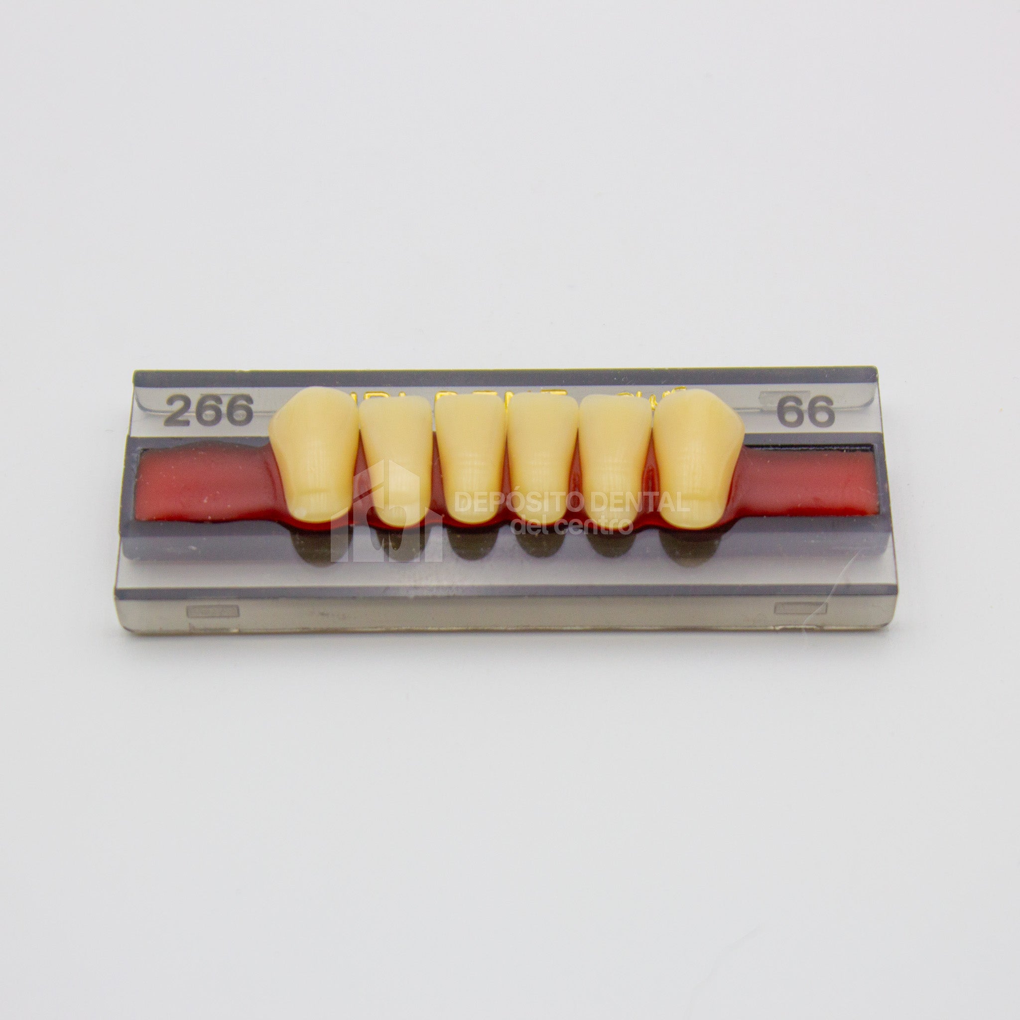 Tablilla de Dientes Vipi Dent Plus Anteriores Inferiores 266 66