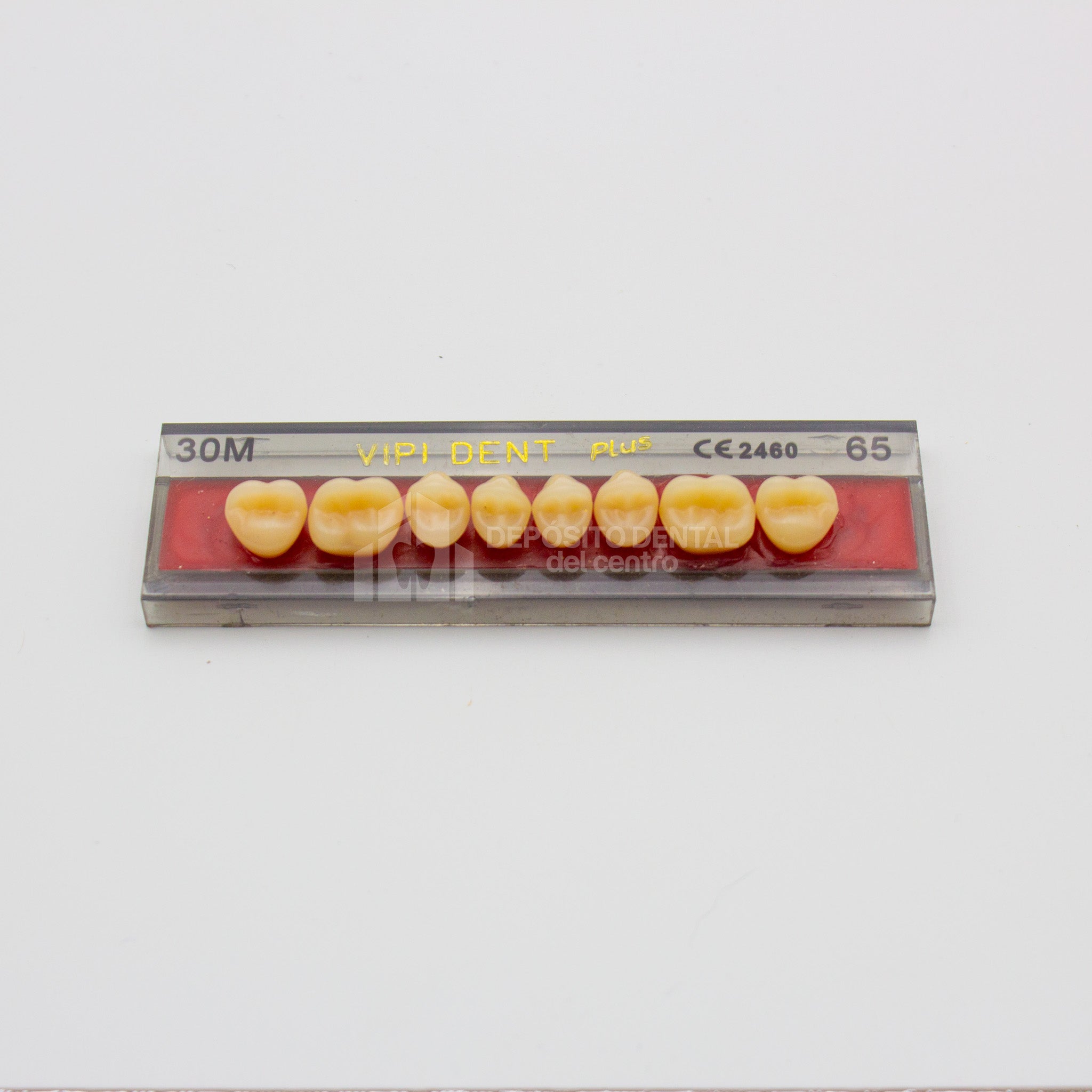Tablilla de Dientes Vipi Dent Plus Posteriores Superiores 30M 65