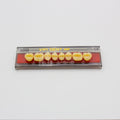 Tablilla de Dientes Vipi Dent Plus Posteriores Superiores 30M 66