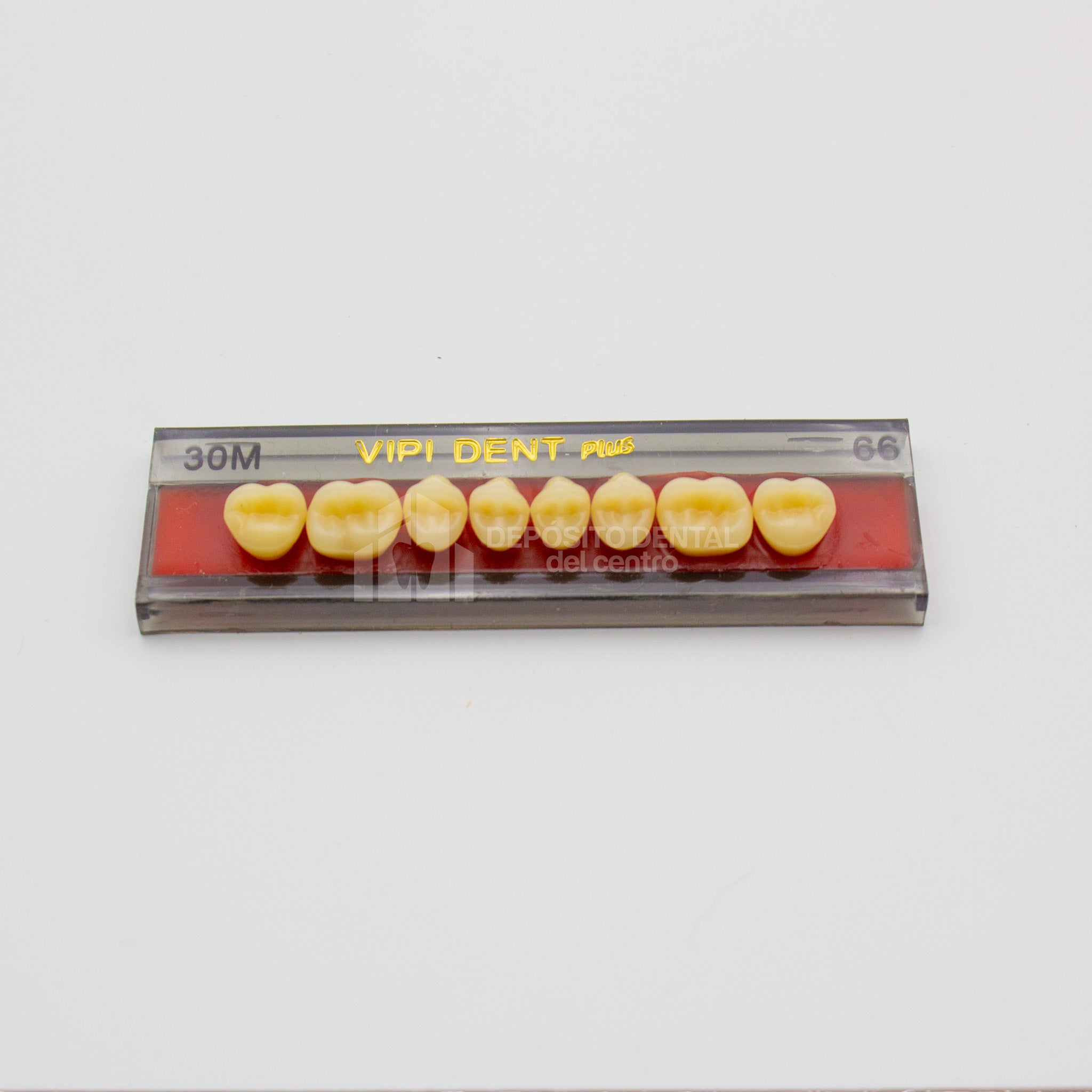Tablilla de Dientes Vipi Dent Plus Posteriores Superiores 30M 66