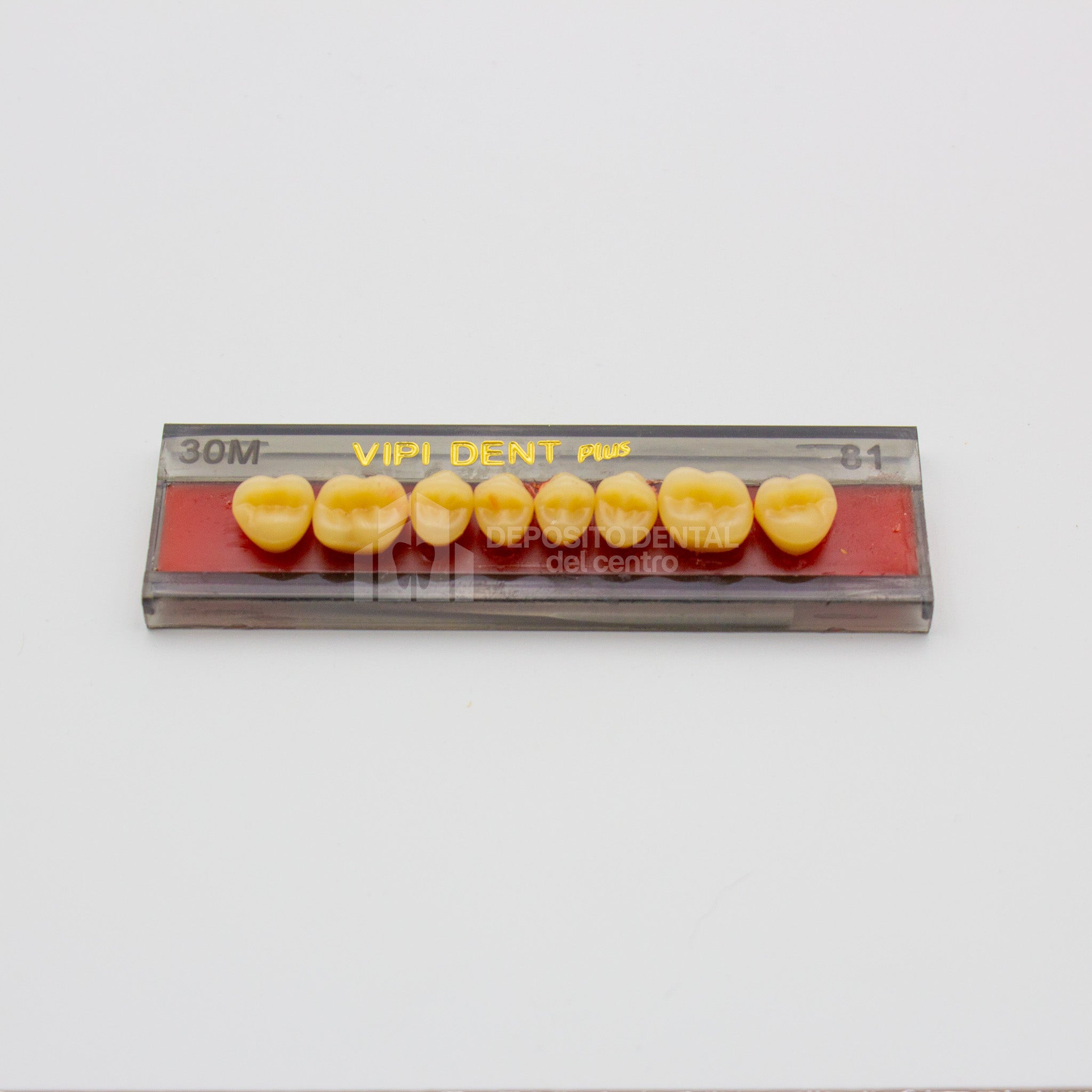Tablilla de Dientes Vipi Dent Plus Posteriores Superiores 30M 81