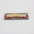 Tablilla de Dientes Vipi Dent Plus Posteriores Superiores 30M 59