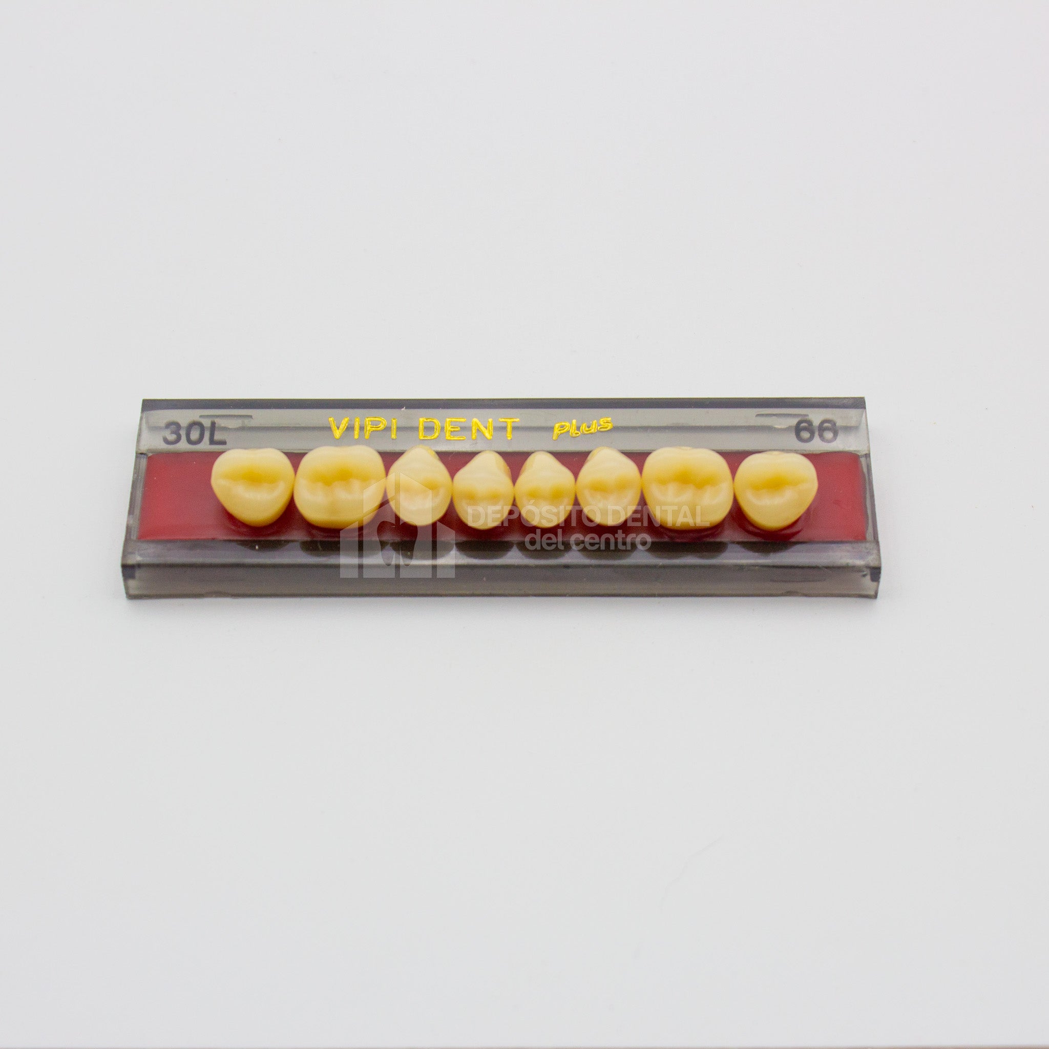 Tablilla de Dientes Vipi Dent Plus Posteriores Superiores 30L 66