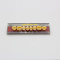 Tablilla de Dientes Vipi Dent Plus Posteriores Superiores 30L 77