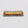 Tablilla de Dientes Vipi Dent Plus Posteriores Superiores 30L 81