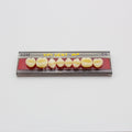 Tablilla de Dientes Vipi Dent Plus Posteriores Superiores 32M 59