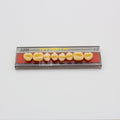 Tablilla de Dientes Vipi Dent Plus Posteriores Superiores 32m 62