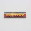 Tablilla de Dientes Vipi Dent Plus Posteriores Superiores 32M 65