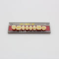 Tablilla de Dientes Vipi Dent Plus Posteriores Superiores 32L 59