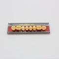 Tablilla de Dientes Vipi Dent Plus Posteriores Superiores 32L 62