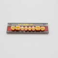 Tablilla de Dientes Vipi Dent Plus Posteriores Superiores 32L 65