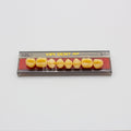 Tablilla de Dientes Vipi Dent Plus Posteriores Superiores 32L 81