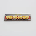 Tablilla de Dientes Vipi Dent Plus Posteriores Superiores 34L 66