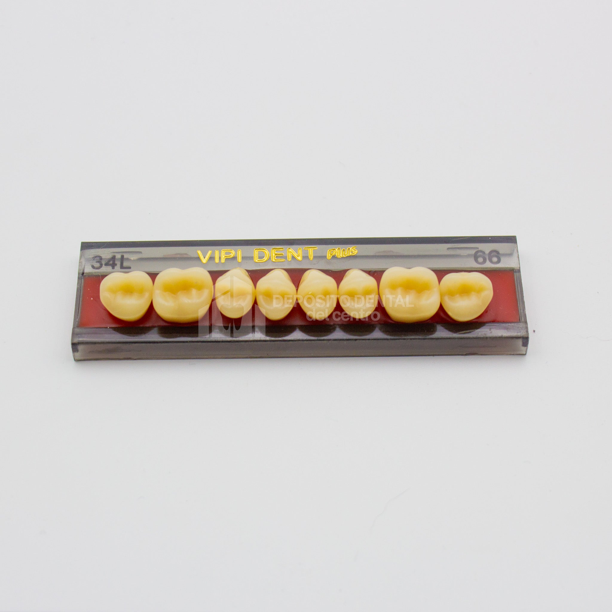 Tablilla de Dientes Vipi Dent Plus Posteriores Superiores 34L 66