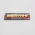 Tablilla de Dientes Vipi Dent Plus Posteriores Inferiores 30M 59