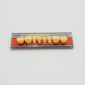 Tablilla de Dientes Vipi Dent Plus Posteriores Inferiores 30M 62
