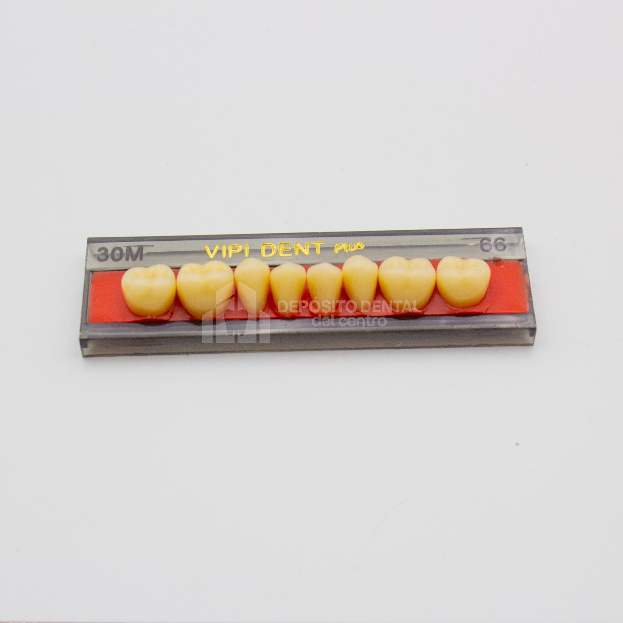 Tablilla de Dientes Vipi Dent Plus Posteriores Inferiores 30M 66