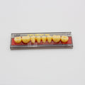 Tablilla de Dientes Vipi Dent Plus Posteriores Inferiores 32M 66