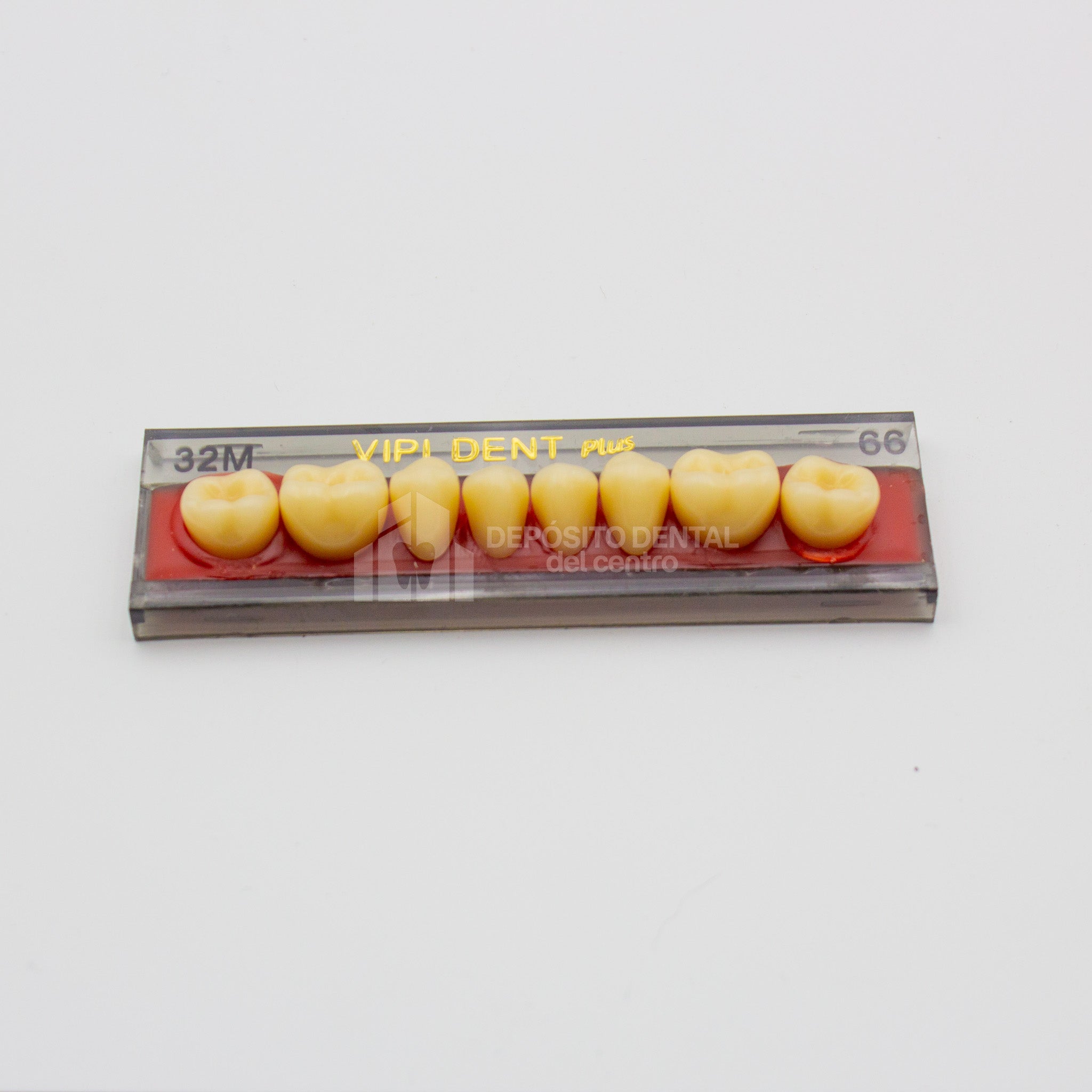 Tablilla de Dientes Vipi Dent Plus Posteriores Inferiores 32M 66