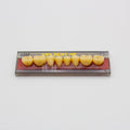 Tablilla de Dientes Vipi Dent Plus Posteriores Inferiores 32M 77