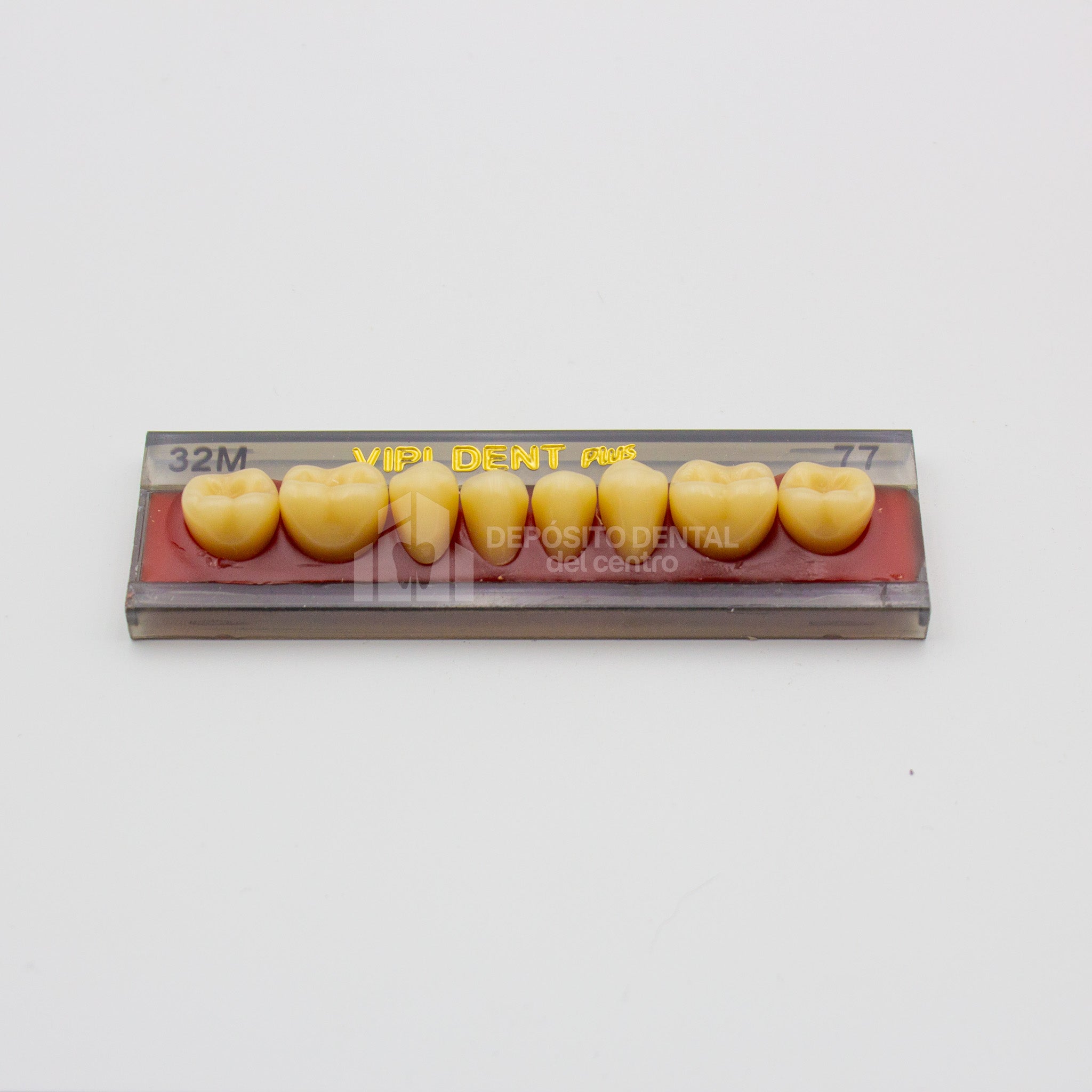 Tablilla de Dientes Vipi Dent Plus Posteriores Inferiores 32M 77