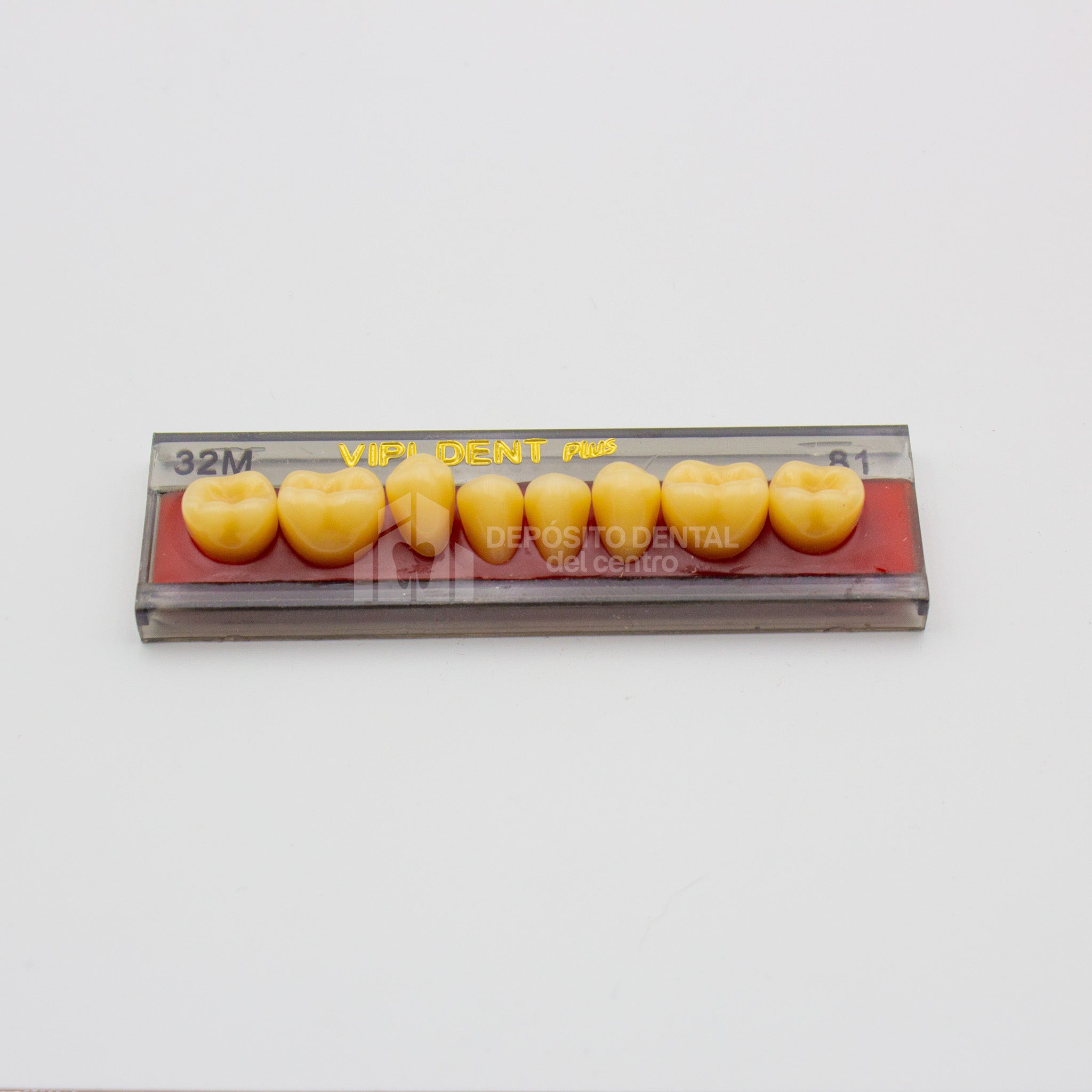 Tablilla de Dientes Vipi Dent Plus Posteriores Inferiores 32M 81