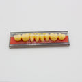Tablilla de Dientes Vipi Dent Plus Posteriores Inferiores 32L 66