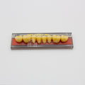 Tablilla de Dientes Vipi Dent Plus Posteriores Inferiores 32L 77