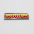 Tablilla de Dientes Vipi Dent Plus Posteriores Inferiores 32L 81