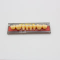 Tablilla de Dientes Vipi Dent Plus Posteriores Inferiores 32L 62