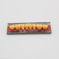 Tablilla de Dientes Vipi Dent Plus Posteriores Inferiores 32L 65