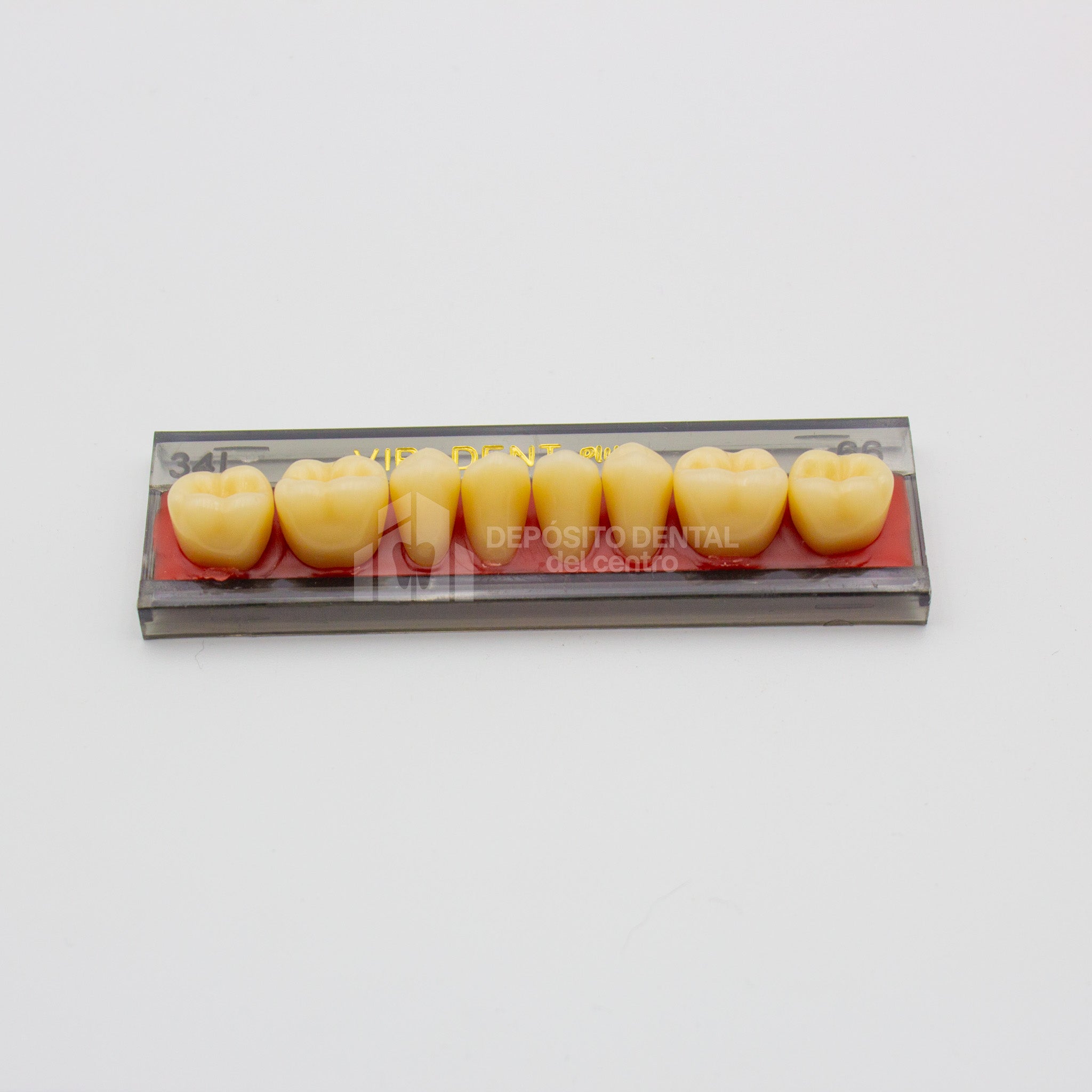 Tablilla de Dientes Vipi Dent Plus Posteriores Inferiores 34L 66
