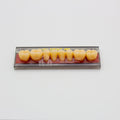 Tablilla de Dientes Vipi Dent Plus Posteriores Inferiores 34L 65