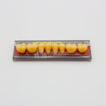 Tablilla de Dientes Vipi Dent Plus Posteriores Inferiores 34L 81