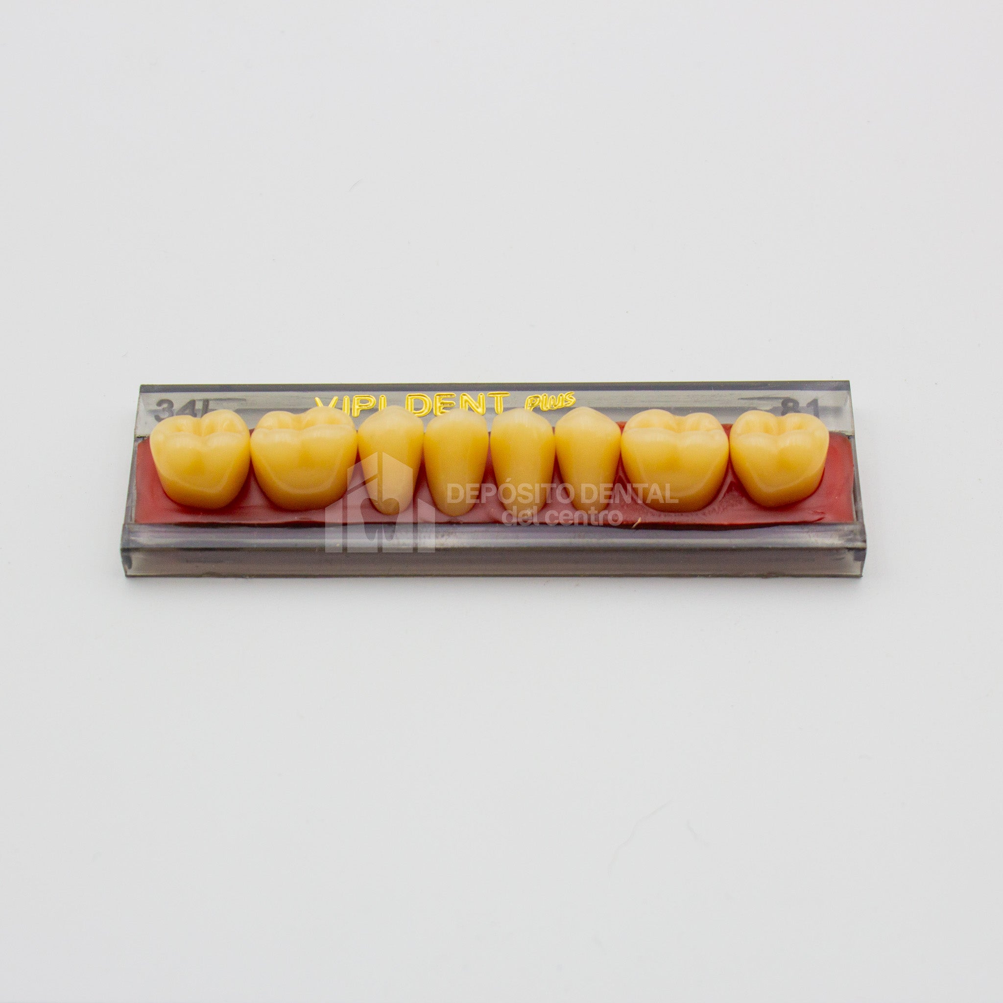 Tablilla de Dientes Vipi Dent Plus Posteriores Inferiores 34L 81