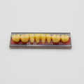 Tablilla de Dientes Vipi Dent Plus Posteriores Inferiores 34L 77