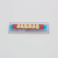 Tablilla de Dientes Ecodent Anteriores Superiores 21 62