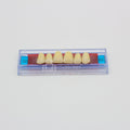 Tablilla de Dientes Ecodent Anteriores Superiores 32 62